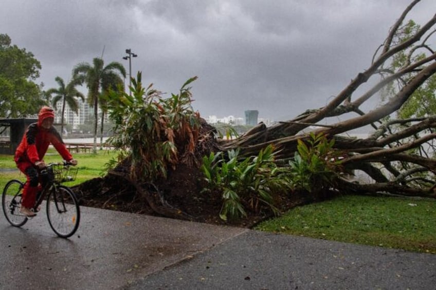 A man cycles past a tree downed by Cyclone Jasper in Cairns