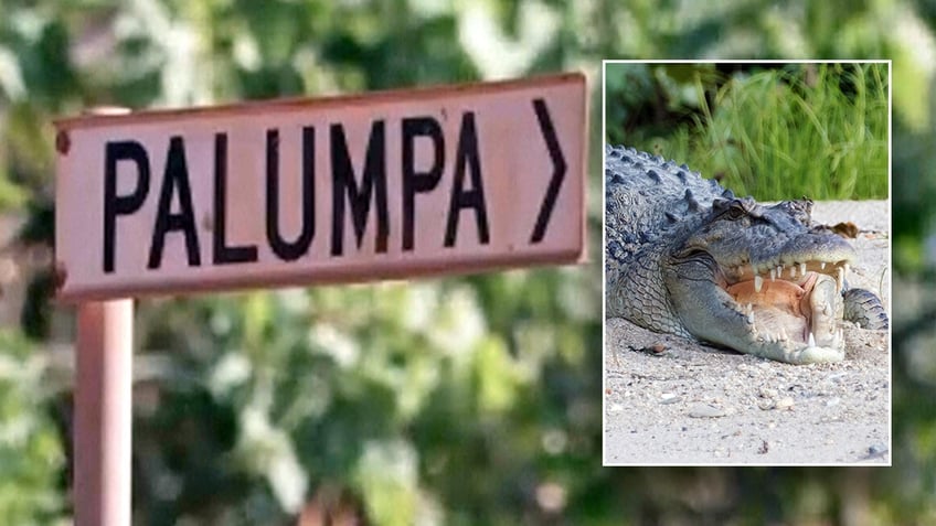 A road sign pointing to the Indigenous region of Palumpa, background, and a saltwater crocodile, inset