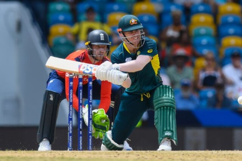 Australia's David Warner in action at the World Cup