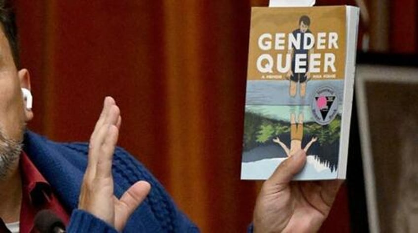 author of gender queer book found in schools says i dont recommend this book for kids