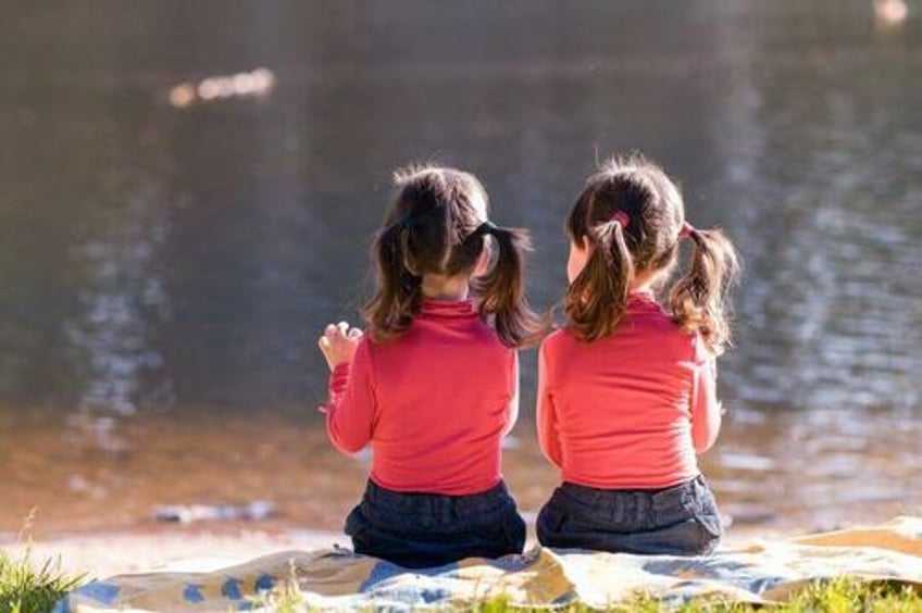 autism reversal in twin girls through lifestyle and environmental changes new study