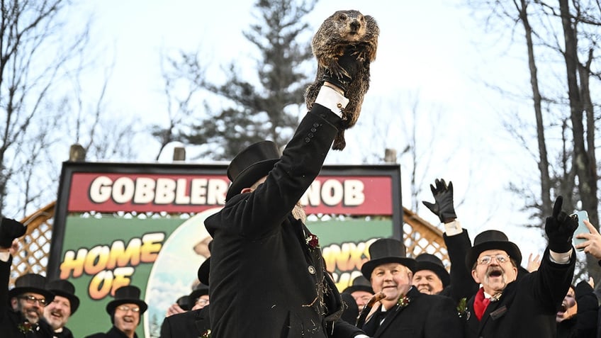 Punxsutawney Phil is held in the air