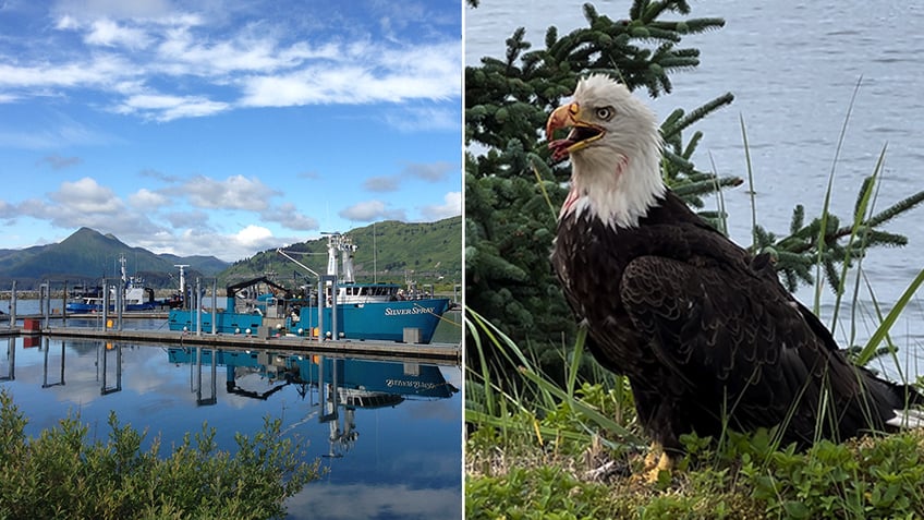 Alaska harbor