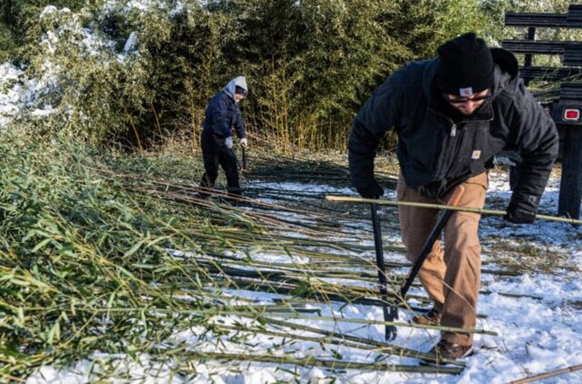 The Smithsonian's National Zoo new pandas add to the already high demands at the bamboo fa