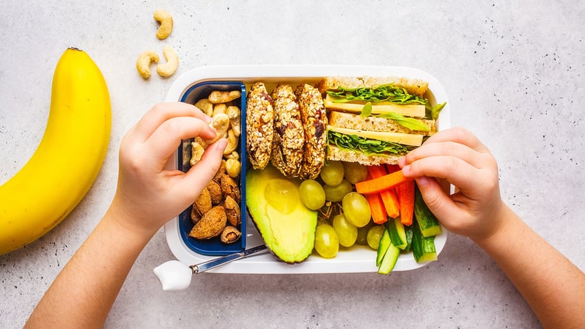 School lunch box with sandwich, cookies, nuts, fruits and avocado