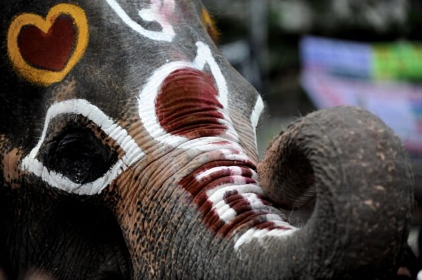 A painted elephant, seen in Dhaka in 2009