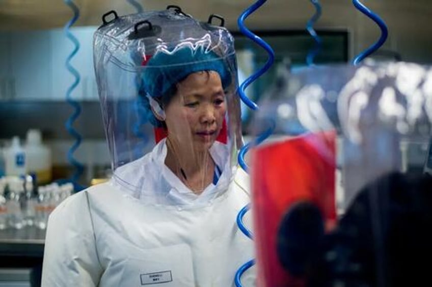 bat lady research team in wuhan find covid like virus that can infect humans