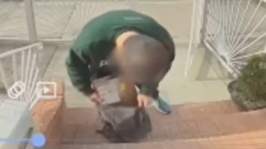 A porch pirate seen stealing a decoy package set up a Queens homeowner.