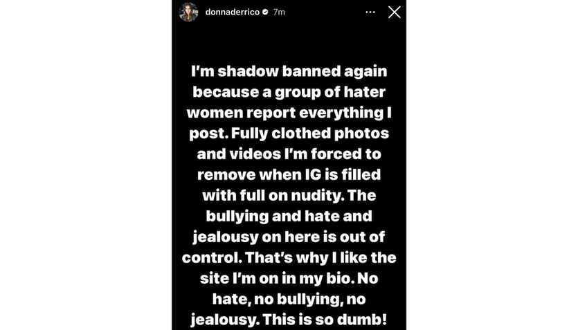 Donna D'Errico claimed hater women had her shadow banned on Instagram