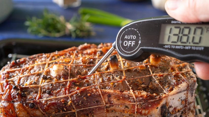 Meat thermometer