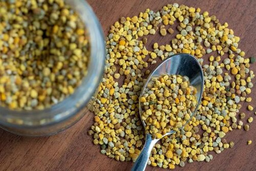 bees are behind our food and natural medicines and theyre disappearing