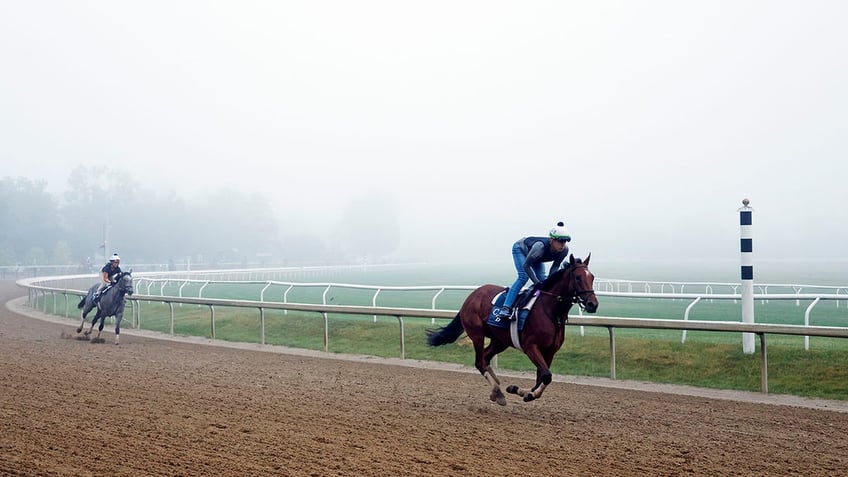 Horses train on the race track 