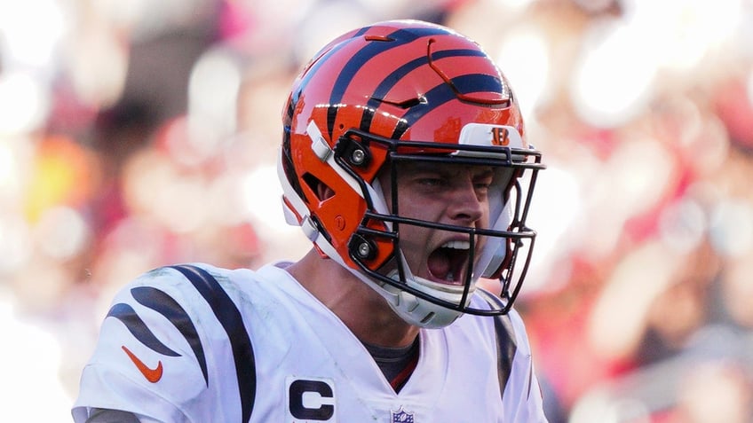 bengals hand 49ers third straight loss as they push own winning streak to three games