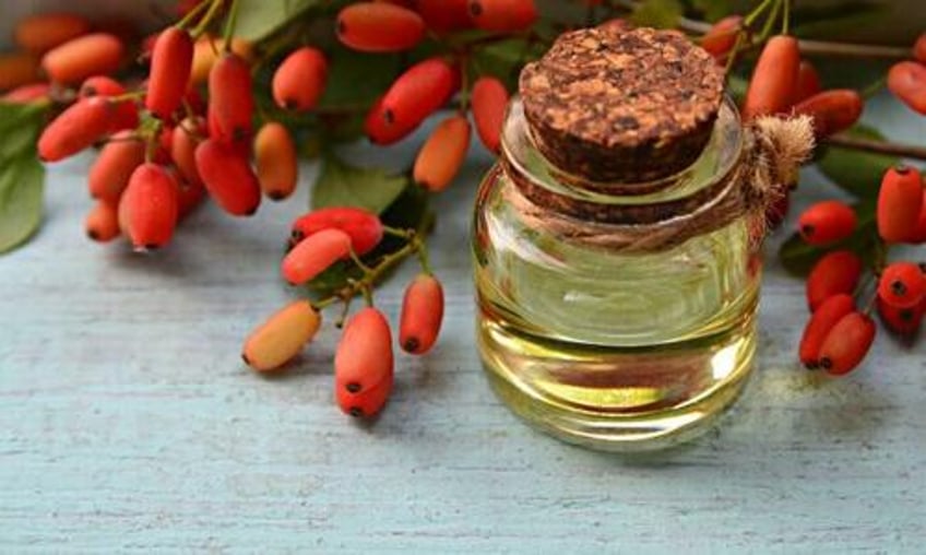 berberine one of the most powerful tools we have to regulate insulin