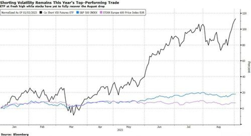 betting against fear has really paid off this year