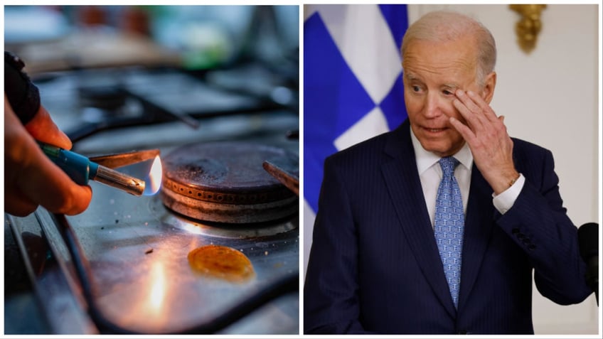 biden stoves