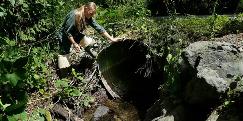 biden administration announces 200 million in grants to upgrade tunnels in effort to save fish