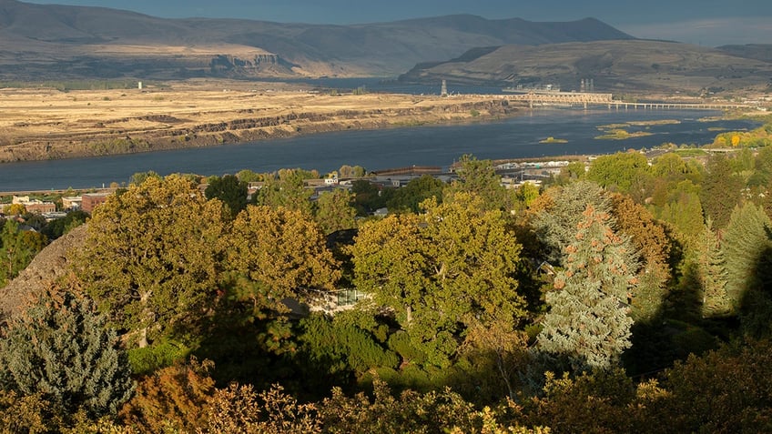 Columbia river, trees, mountains in distance