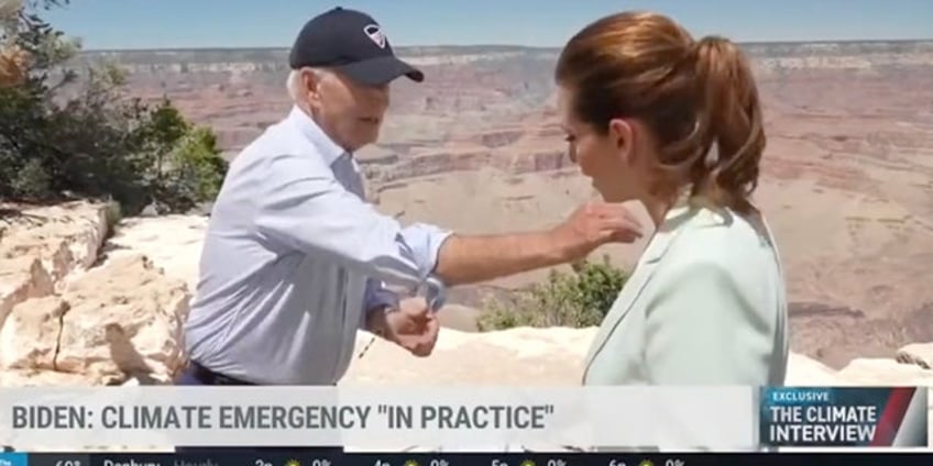 biden flicks bug off reporters shirt as he defends climate record