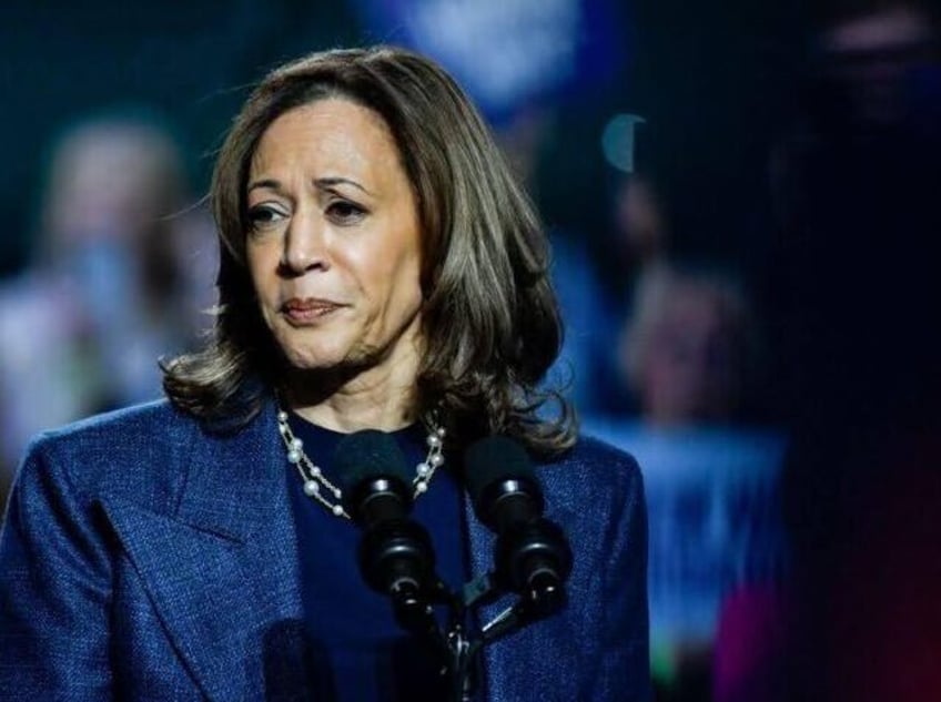 EAST LANSING, MICHIGAN - NOVEMBER 3: Vice President Kamala Harris holds a campaign rally a