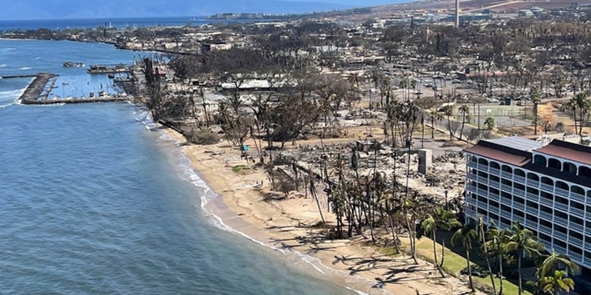 biden rebuked for ignoring deadly maui wildfires prioritizing ukraine over american people