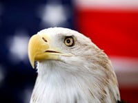 Biden signs a bill officially making the bald eagle the national bird of the US