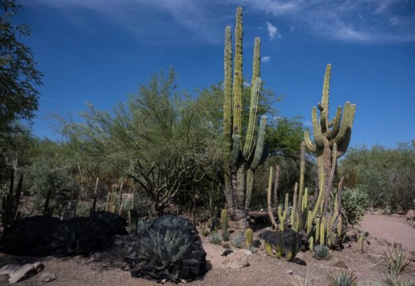 biden to tout climate policy in visit to baking us southwest