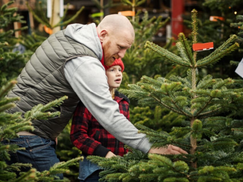 bidenflation christmas tree costs soar as consumers budget for holidays