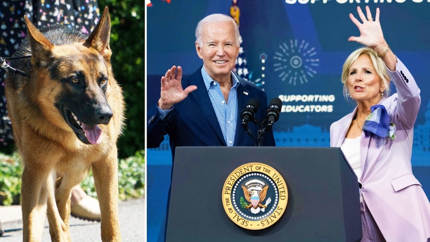 bidens dog commander terrorizes secret service in extremely aggressive rampage emails