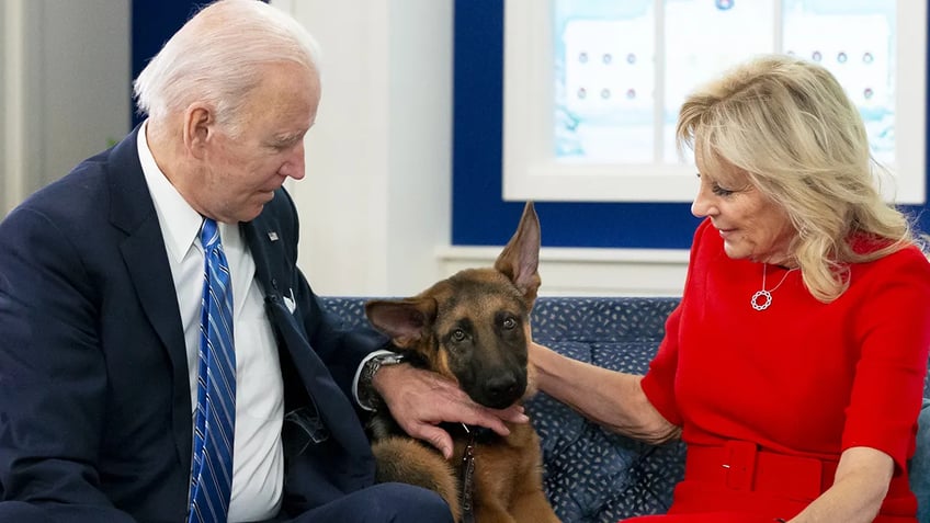 bidens dog commander terrorizes secret service in extremely aggressive rampage emails