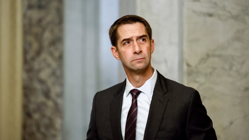 Republican Arkansas Senator Tom Cotton