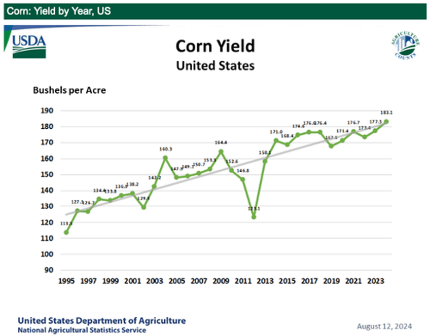 big us corn crop pressures chicago prices to four year low amid severe farm income downturn