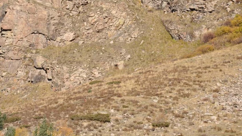bigfoot and sasquatch longtime resident reveals legends pranks after latest proof