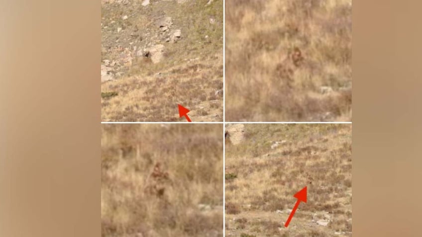 bigfoot caught on camera during couples romantic getaway in colorado