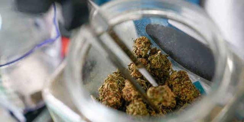 bipartisan bill would allow people who consumed marijuana to gain federal employment