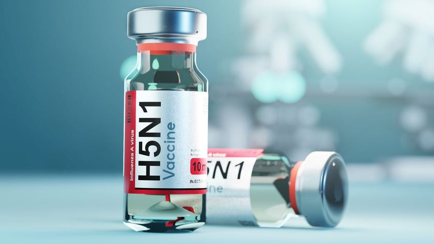 H5N1 vaccine