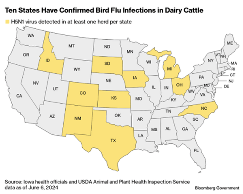 bird flu triggers supply chain snarls in dairy industry as farmers increasingly culled cows