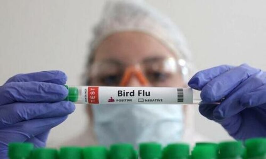 bird flu virus mutations discovered in first severe human case in us cdc says