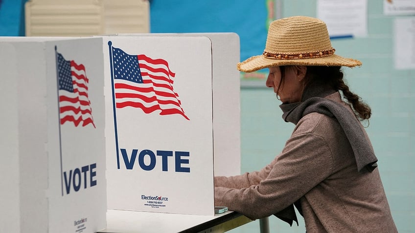 Person at a voting booth