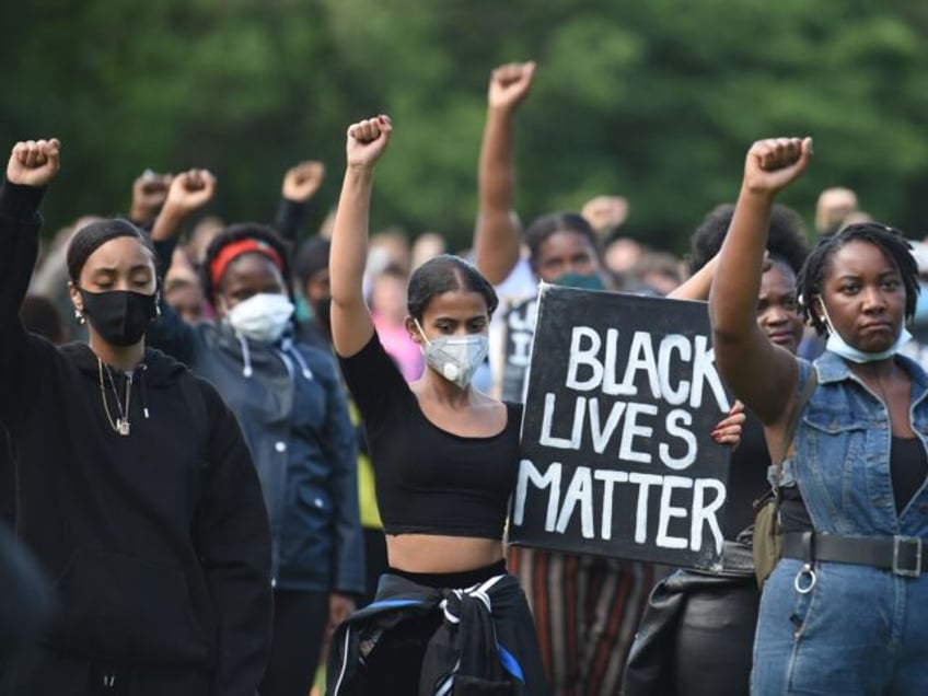 black lives matter activist pleads guilty to fraud for missing donations