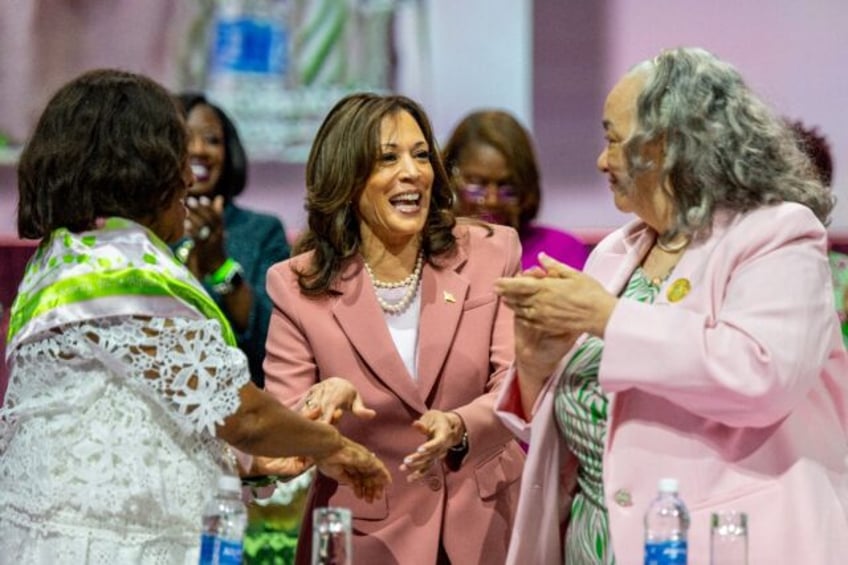 US Vice President Kamala Harris could reap campaign benefits from a wide network at her fi