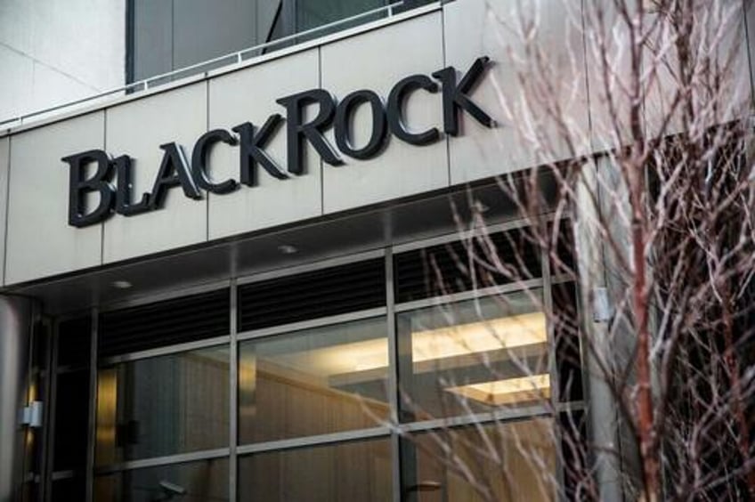 blackrock exits un backed net zero climate pact