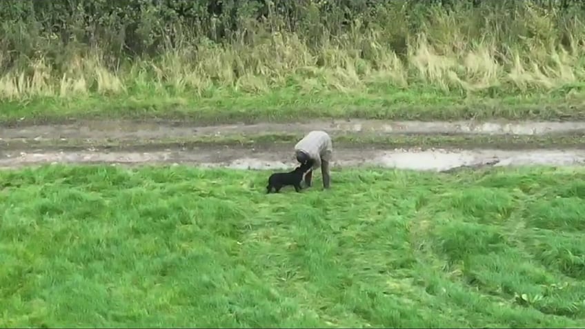 blind dog is reunited with its family after going missing for three days in the uk overjoyed