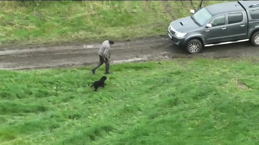 blind dog is reunited with its family after going missing for three days in the uk overjoyed