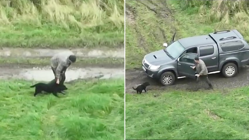 blind dog is reunited with its family after going missing for three days in the uk overjoyed