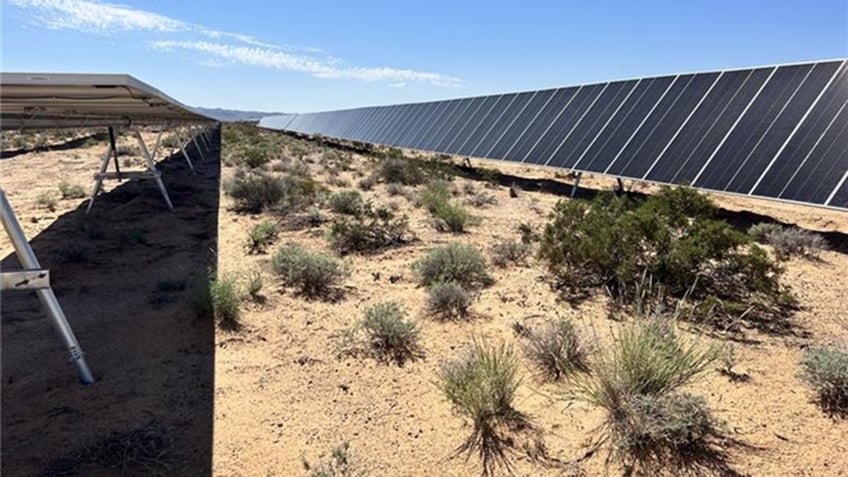 solar panels