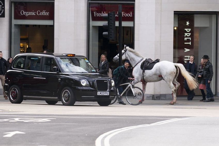 blooded cavalry horses charge through central london colliding with vehicles several people and horses injured