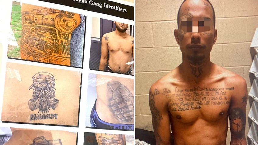 These images from a CBP intelligence bulletin, show tattoos and other identifiers for Tren De Aragua.