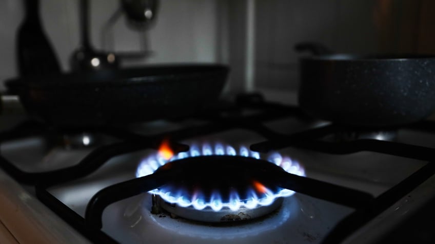 Gas stove/burner