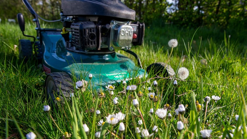 lawnmower in grass